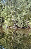 Sozopol, the mouth of the Ropotamo River natural reserve